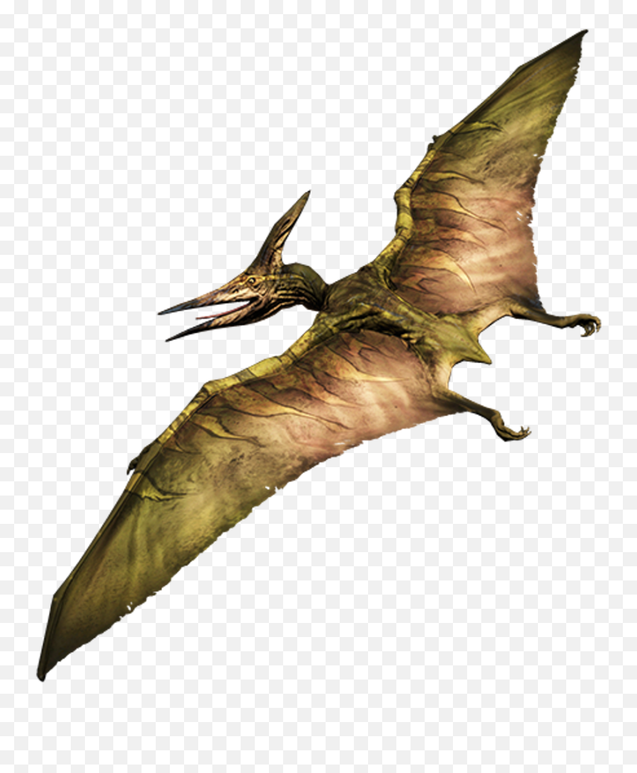 Dinosaur - Primal Carnage Extinction Pteranodon Png,Pterodactyl Png