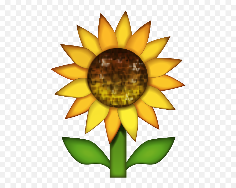 Download Sunflower Emoji Image In Png - Sunflower Emoji Png,Transparent Sunflower