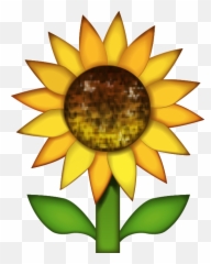 Download Sunflower Emoji Image In Png