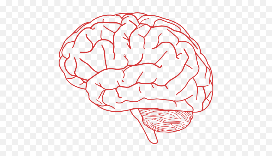 Free Brain Png Download Clip Art - Brain Png Transparent Background,Brain Clipart Transparent