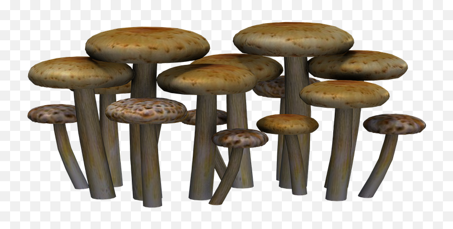 Mushrooms Fantasy Digital Art - Fantasy Png,Fantasy Png