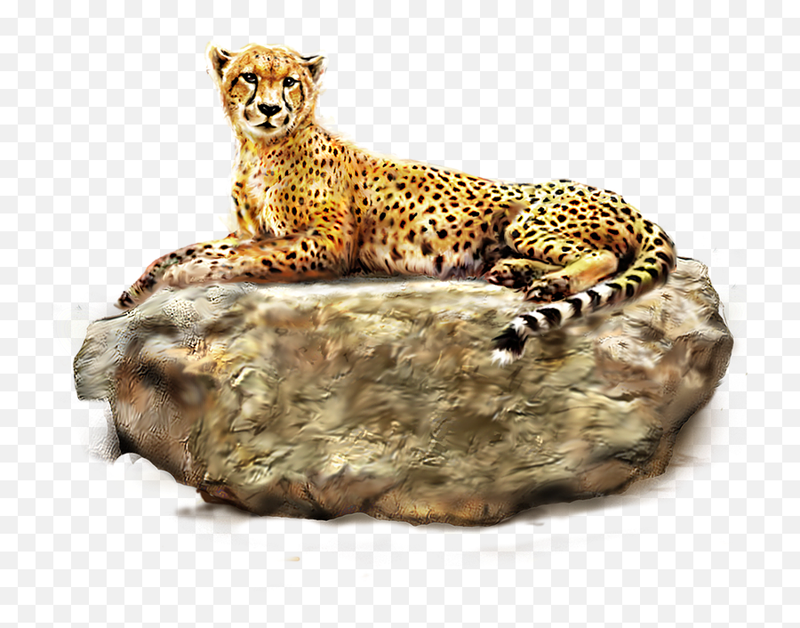 Download Cheetah Png Images Bulk - Forest Wild Life Animal,Cheetah Png