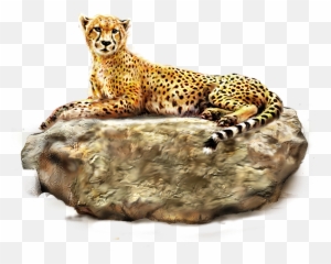 Download Cheetah Png Images Bulk - Forest Wild Life Animal,Cheetah Png