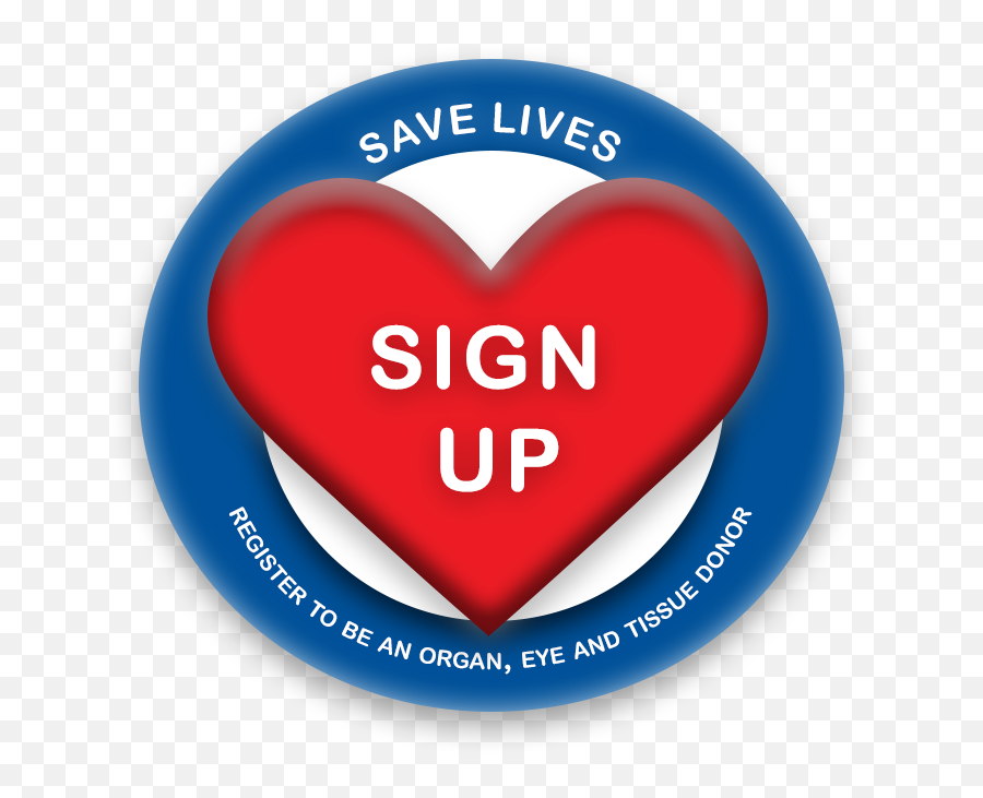 The Donor Registry - Are You Registered U2014 Louisiana Organ Png,Heart Organ Png