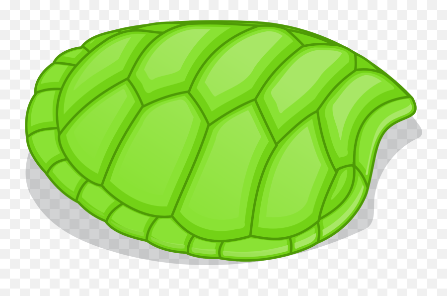 Tortoise Without Shell Png Free - Turtle Shell Clipart,Tortoise Png