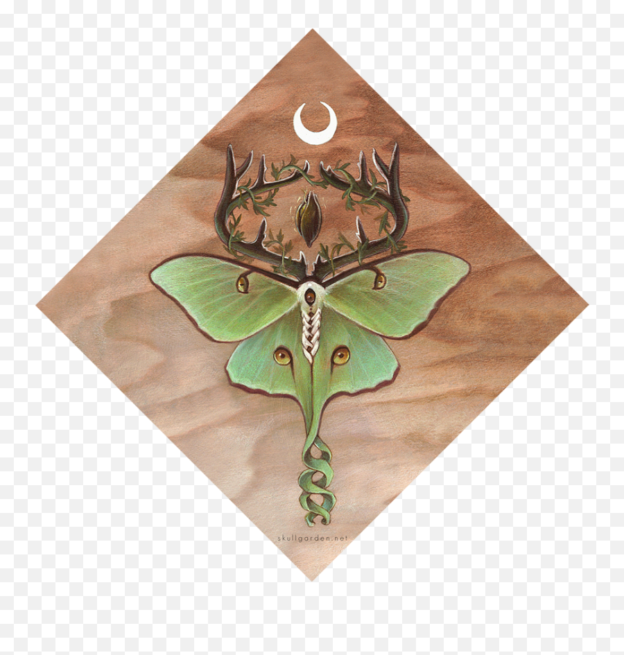 Ancestor Moth Prints Skullgarden - Luna Moth Png,Moth Png