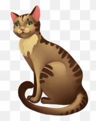 Cat Clipart Free Download Transparent Png Creazilla - Asian