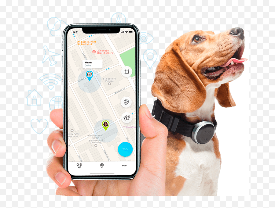 Hd With Mishiko Youre Always Aware - Dog Fitness Tracker Png,Gabe The Dog Png