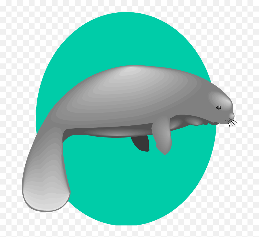 Free Manatee Clipart - Fancy Sea Cow Png,Manatee Png