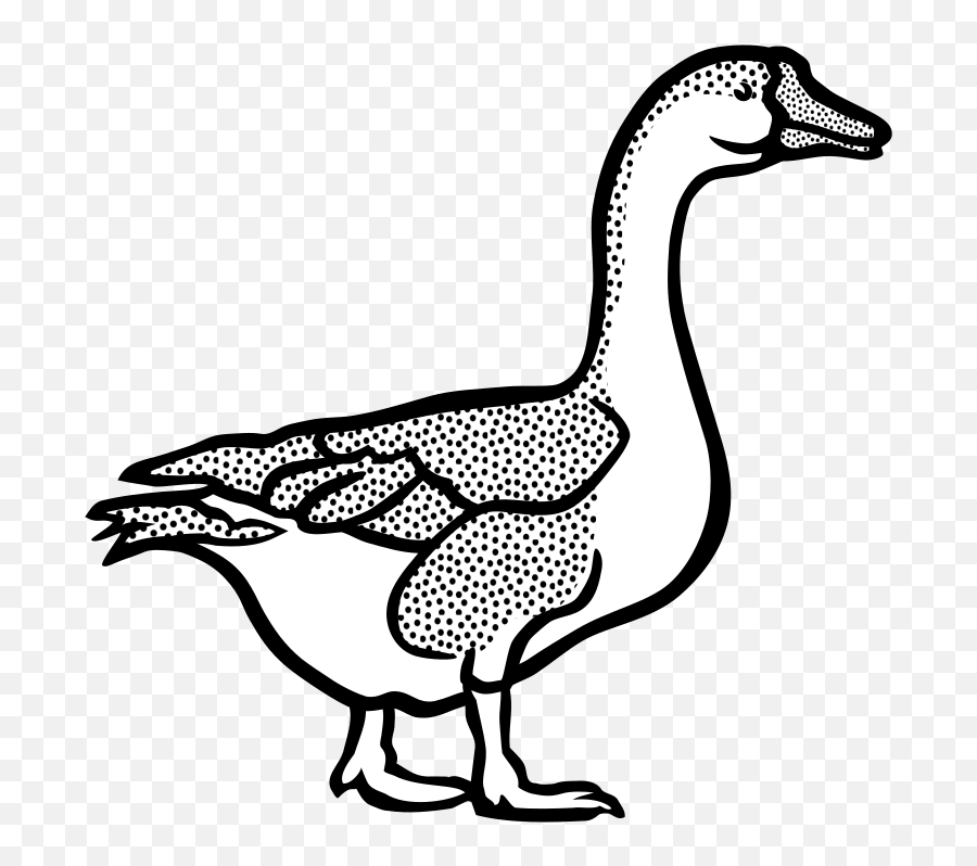 Animal Farm Geese Goose Tier - Goose Black And White Goose In Black And White Png,Geese Png