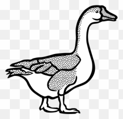 Animal Farm Geese Goose Tier - Goose Black And White Goose In Black And White Png,Geese Png