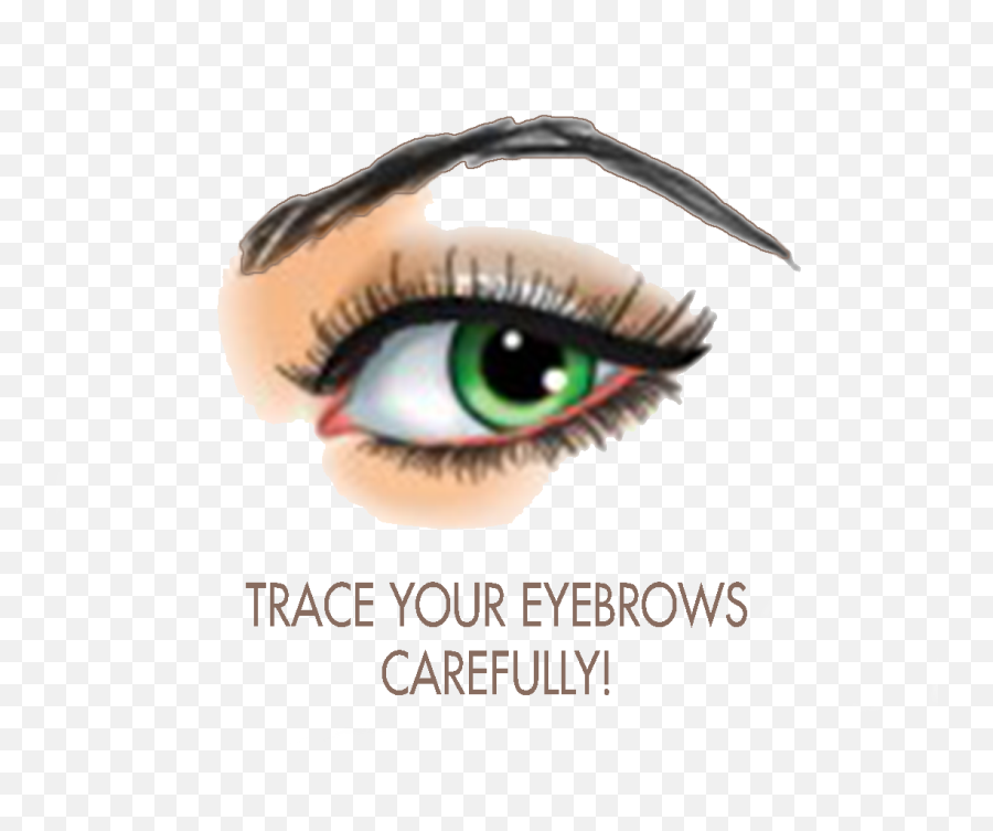 Eye Brows Png - Eye Parlour Png,Brows Png