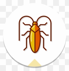 Cockroaches U2014 Reliable Pest Solutions - Weevil Png,Cockroach Png