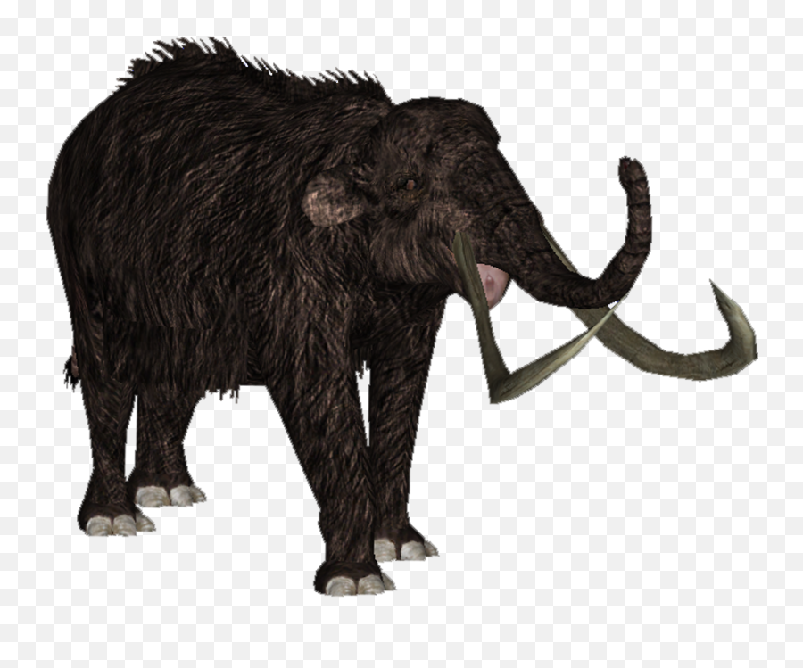 Download Hd Woolly Mammoth - Zt2 Download Library Wiki Zoo Tycoon Woolly Mammoth Png,Mammoth Png