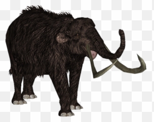 Download Hd Woolly Mammoth - Zt2 Download Library Wiki Zoo Tycoon Woolly Mammoth Png,Mammoth Png