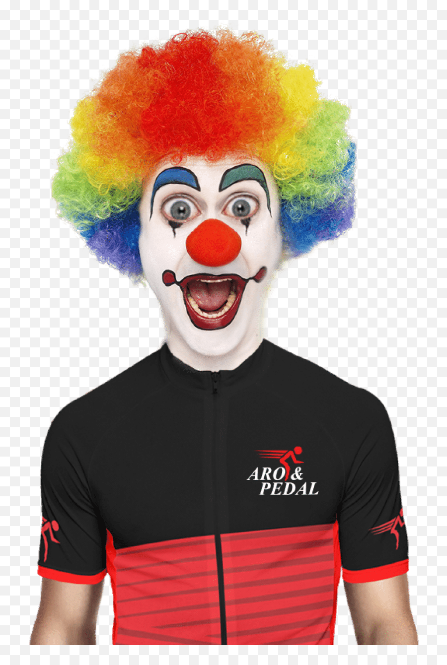 Index Of Wp - Contentuploads201809 Rainbow Clown Hair Transparent Png,Clown Png
