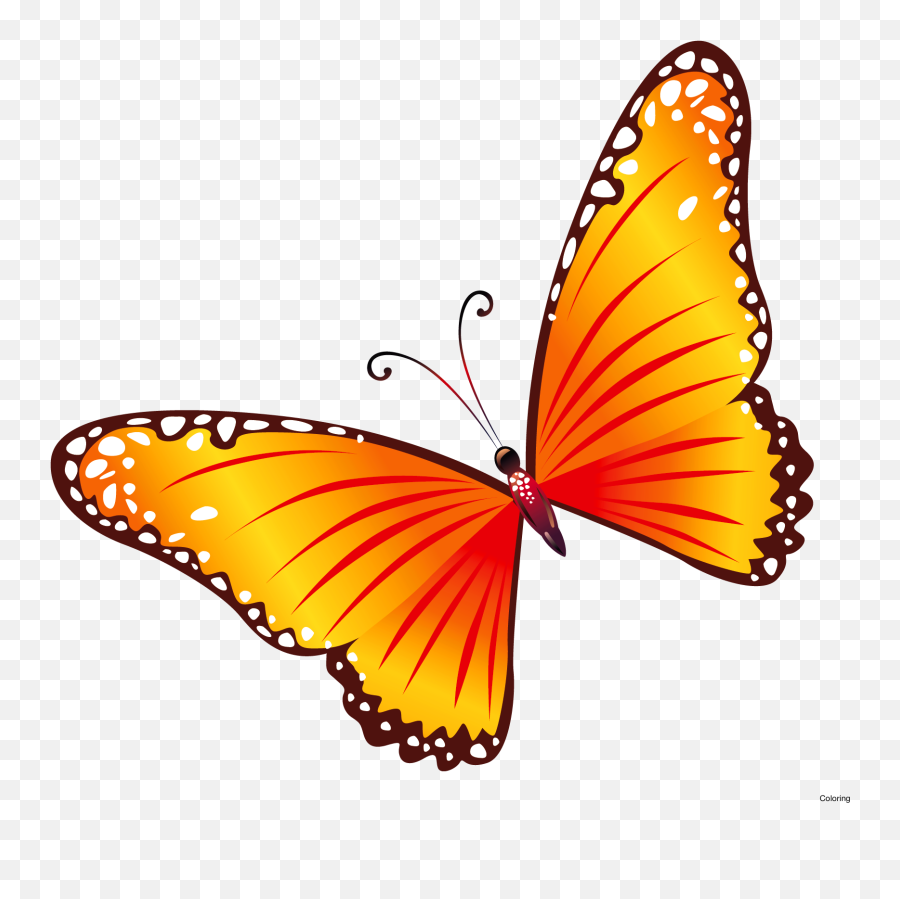Free Clip Art Butterflies Coloring - Butterfly Clipart Png Free,Butterflies Transparent