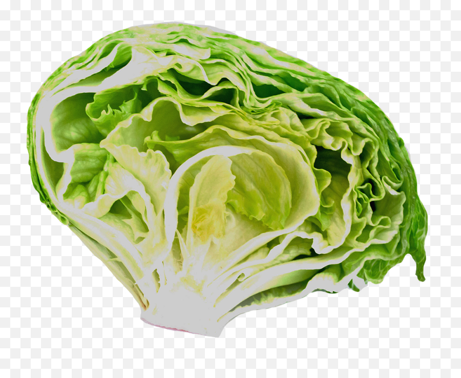 Vegetables Clipart - Iceburg Lettuce Png,Salad Png