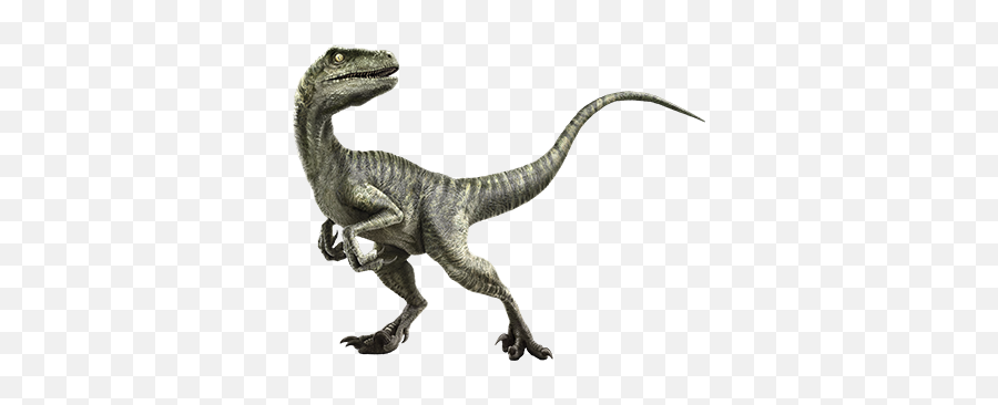 The Dinosaur Protection Group Has Hacked Isla Nublar - Raptor Dinosaur Png,Jurassic Park Logo Vector