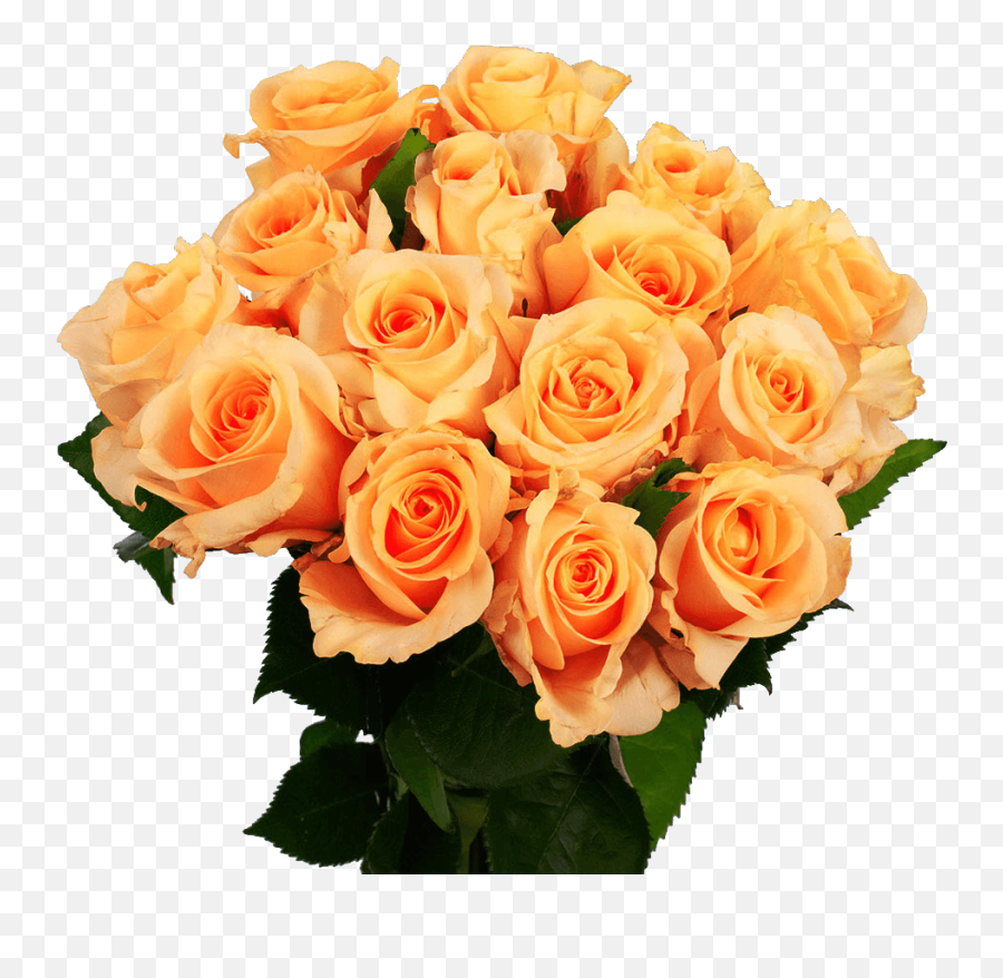 Globalrose Valentineu0027s Day Flowers - 50 Yellow Roses For Day Flowers Walmart Png,Yellow Roses Png