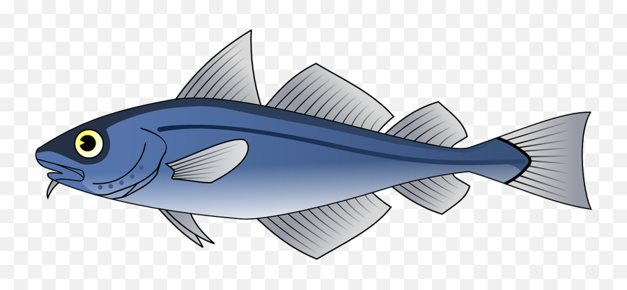 Blue Codfish Clipart Free Download Transparent Png Creazilla - Cod Clipart,Cod Transparent