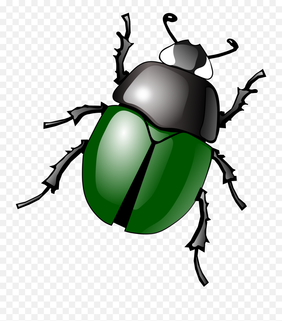 Bug Png Image - Beetle Clipart,Bugs Png