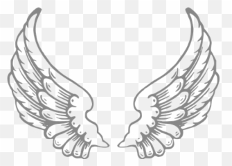 Over 1 000 Free Wings Vectors - Coloring Pages png