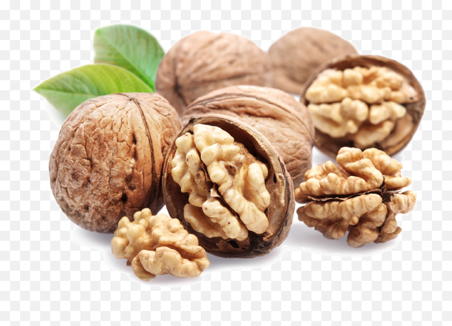 Walnut Png File Icon Favicon - All Types Of Dry Fruits,Walnut Transparent