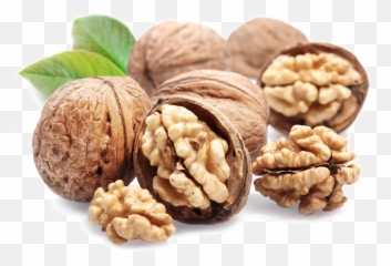 Walnut Png File Icon Favicon - All Types Of Dry Fruits,Walnut Transparent