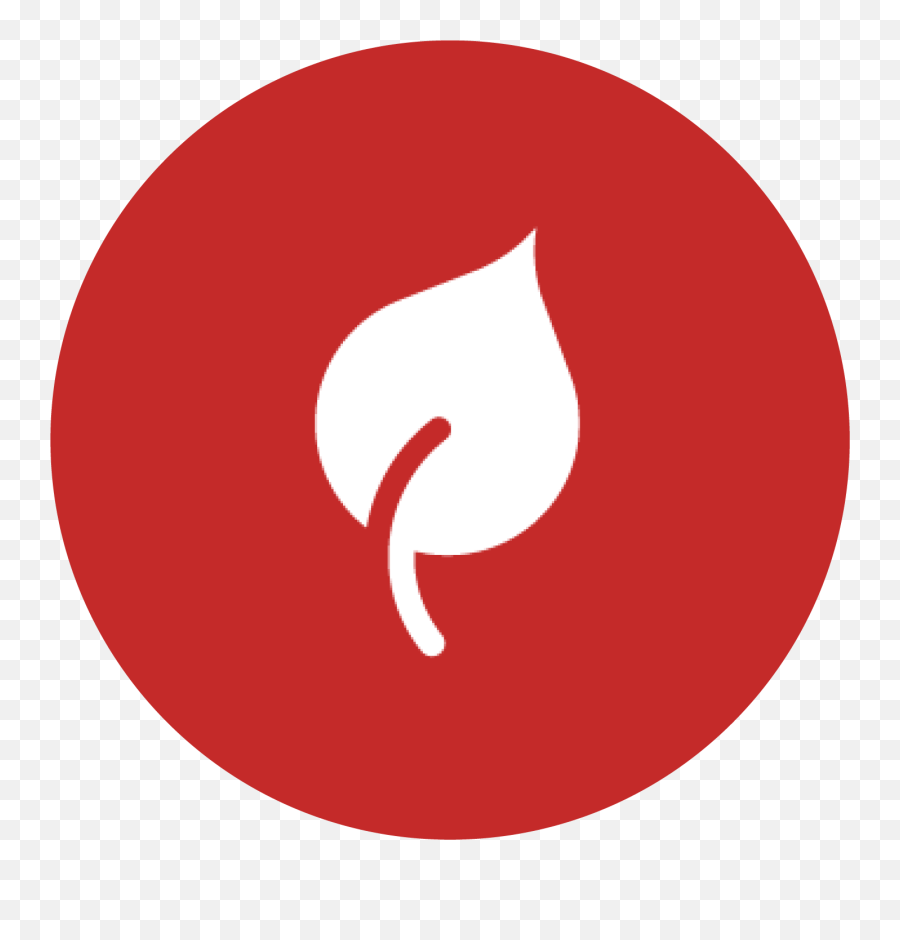 Red Youtube Logo - Logo For Youtube Size Png,Youtube Logo Image
