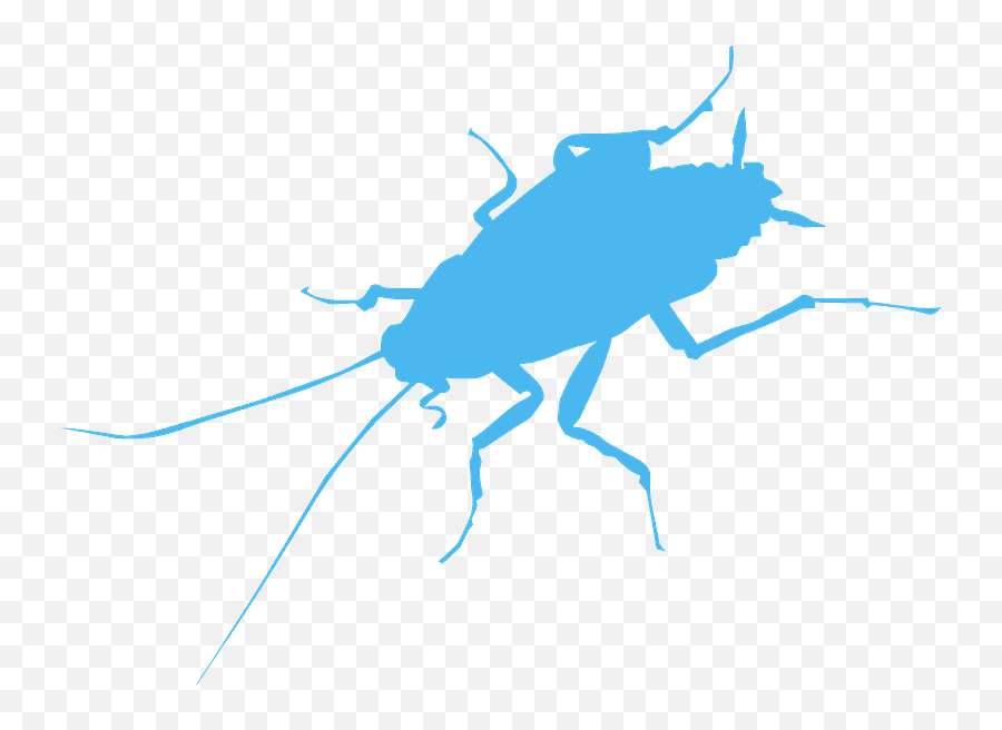 Cockroach Silhouette - Free Vector Silhouettes Creazilla Parasitism Png,Cockroach Icon