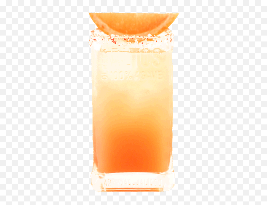 Crafted Paloma Png