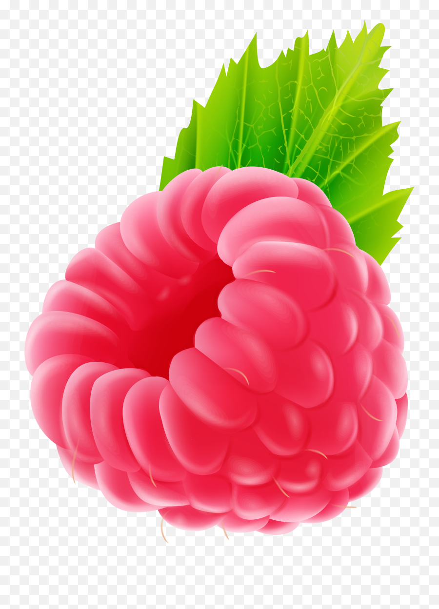 Berries Clipart Raspberry Transparent Png