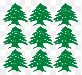 G Flashcards - Green Letter G Png,G Png