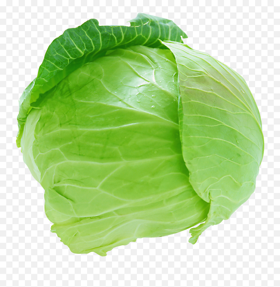 Vegetables Free Png Images Download - Cabbage Png,Vegetable Png