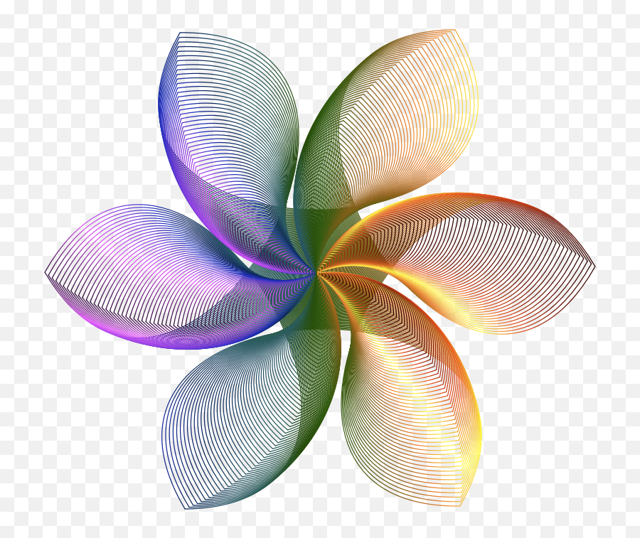 Png Prismatic Hexagonal Flower Shape - Clip Art For Photo Banner Background,Flower Shape Png