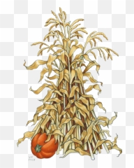Corn Stalk Png Painting Image - Cartoon Fall Corn Stalk,Corn Stalk Png