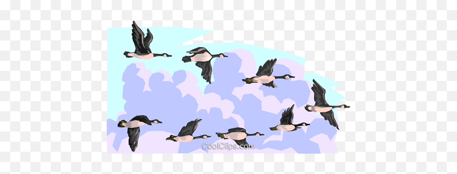 Flying Geese Royalty Free Vector Clip Art Illustration - Flying Geese Clipart Png,Geese Png