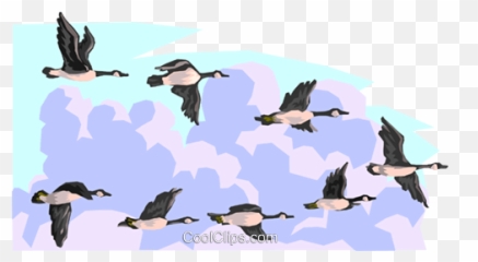 Flying Geese Royalty Free Vector Clip Art Illustration - Flying Geese Clipart Png,Geese Png