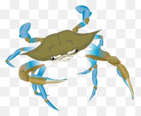 Blue Crab Vector Png - Blue Manna Crab Drawing,Blue Crab Png