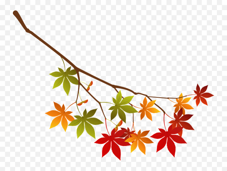 Maple Autumn Leaves Branch Clipart Free Download - Sweetgums Png,Autumn Leaves Transparent