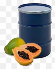 Papaya - Natvita Hawaii Papaya Png,Papaya Png