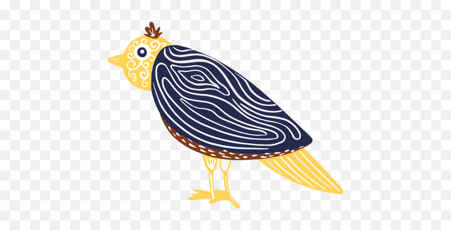 Carnival Bird With Patterns - Transparent Png U0026 Svg Vector File Phasianidae,Transparent Patterns