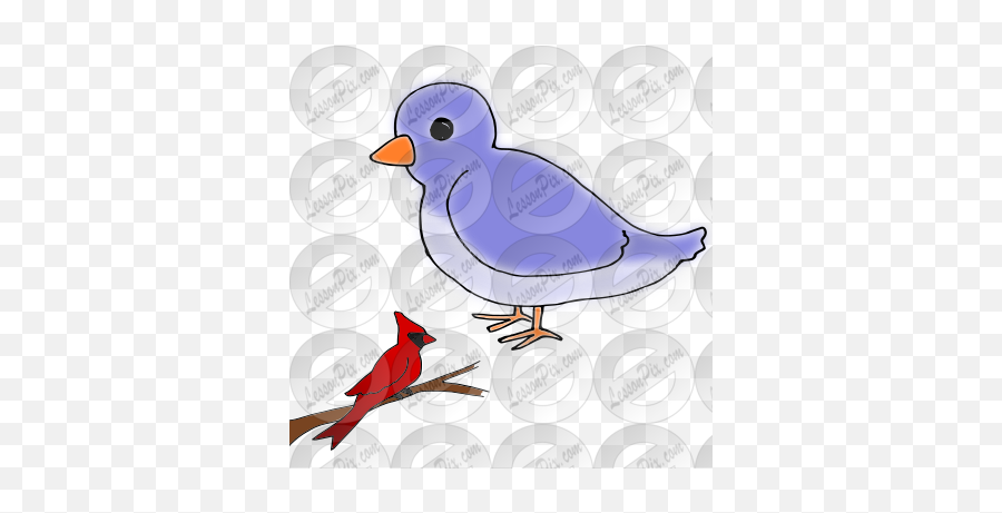 Big Small Bird Picture For Classroom Therapy Use - Great Small And Big Bird  Clipart Png,Big Bird Png - free transparent png images 