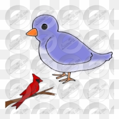 Big Small Bird Picture For Classroom Therapy Use - Great Small And Big Bird Clipart png