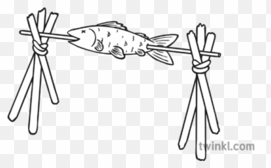 Fish - Twinkl Fish Png,Spit Png