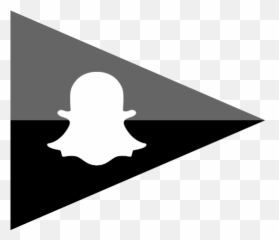 Company Flag Logo Media Snapchat Social Icon - Social Flags Free png
