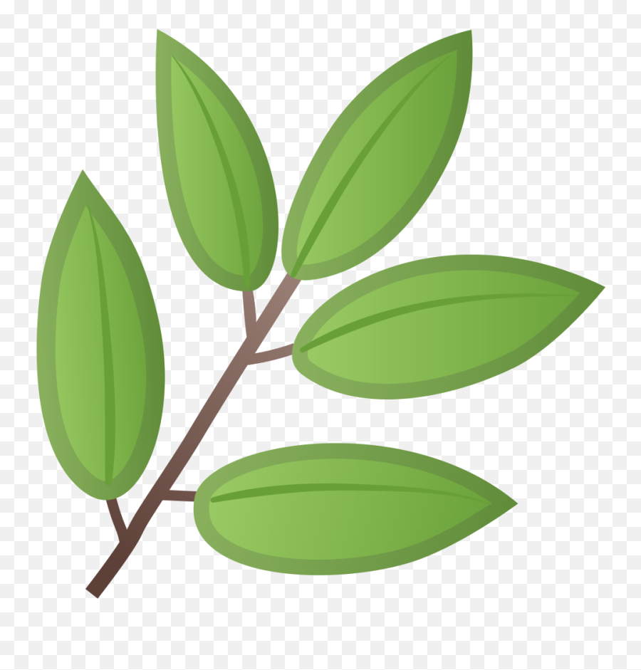 Herb Icon Noto Emoji Animals Nature Iconset Google - Leaf Emoji Png,Herb Png