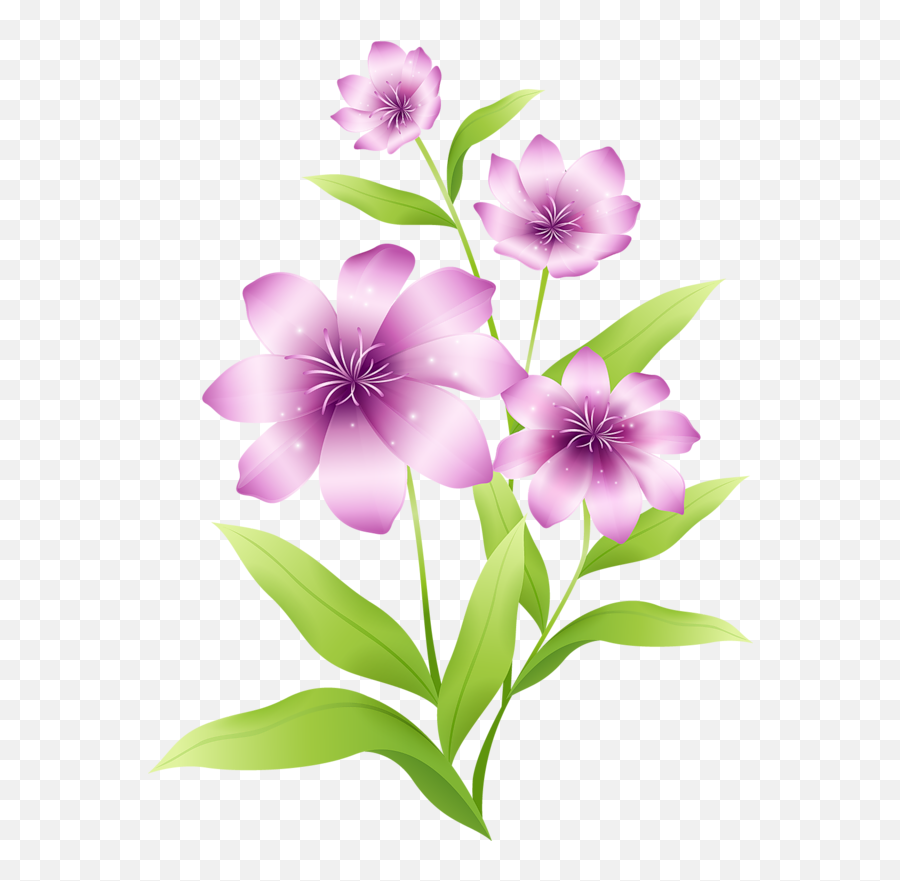 Lily Clipart Light Purple Flower Picture 1551841 - Light Violet Flowers Clipart Png,Purple Flowers Png