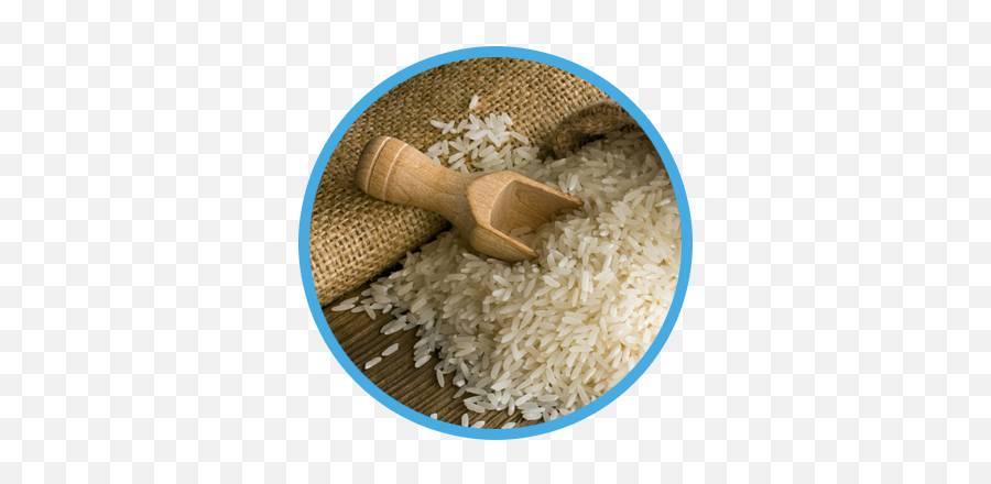Plastic Rice In Pakistan Png Image With - White Rice Farm,Arroz Png